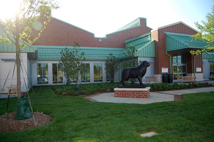 Terry Center Veterinary Hospital NC State University